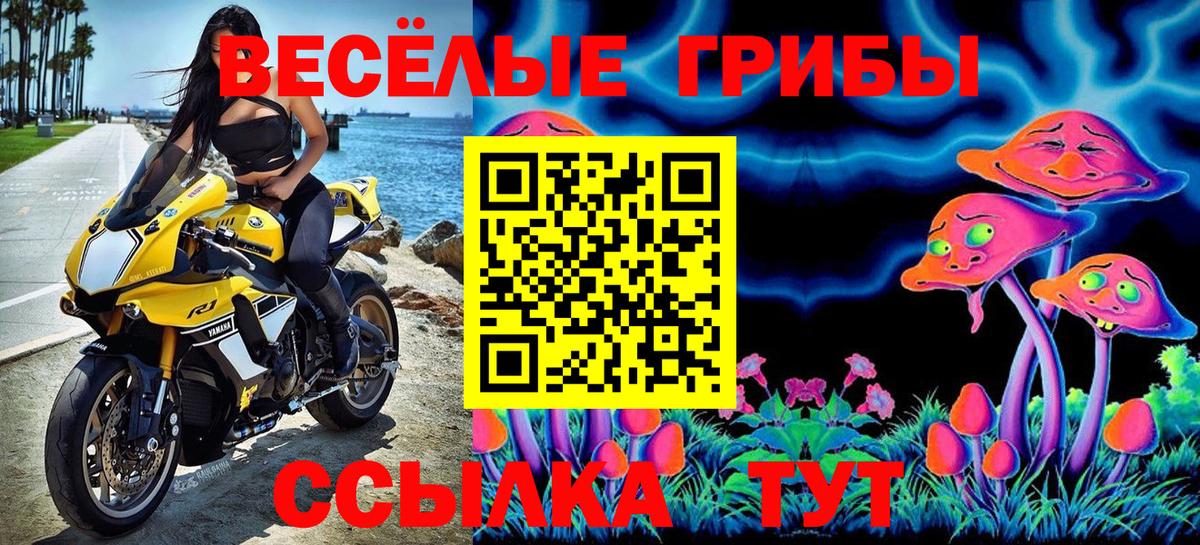 Галлюциногенные грибы прущие грибы Кисловодск