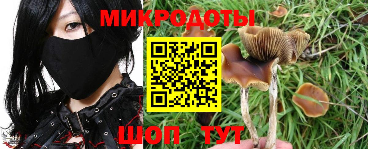 Галлюциногенные грибы мухоморы  Вход с VPN  Кисловодск 