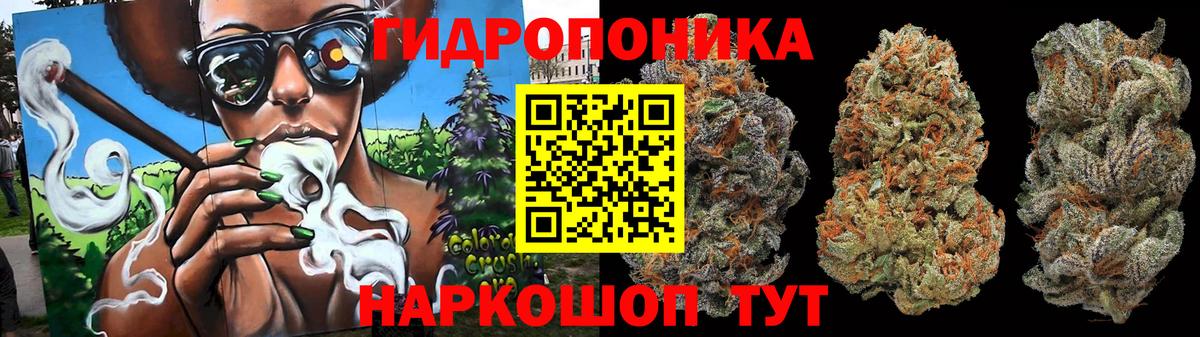 Марихуана OG Kush  Бошки марихуана OG Kush  Вход с VPN  Кисловодск  Бошки марихуана Ganja 